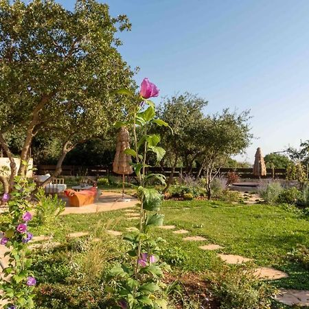 Azamra Amirim Villa Екстериор снимка