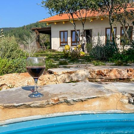 Azamra Amirim Villa Екстериор снимка
