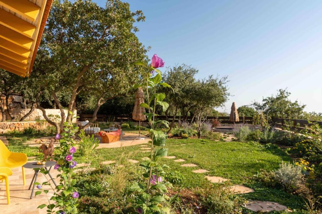 Azamra Amirim Villa Екстериор снимка